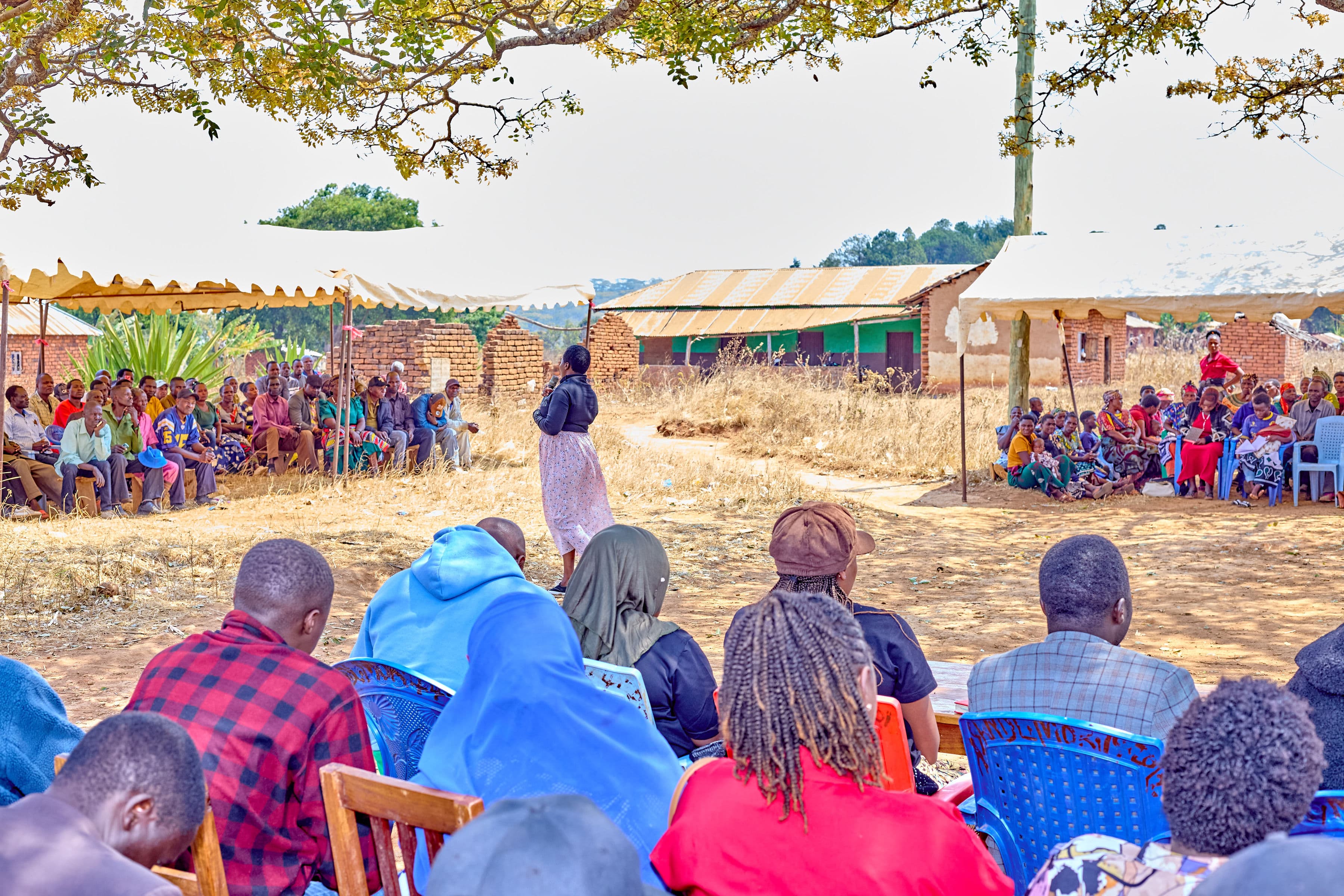 Mbozi Youth Transform Sunflower Farming Into Thriving Agri-Enterprises 12