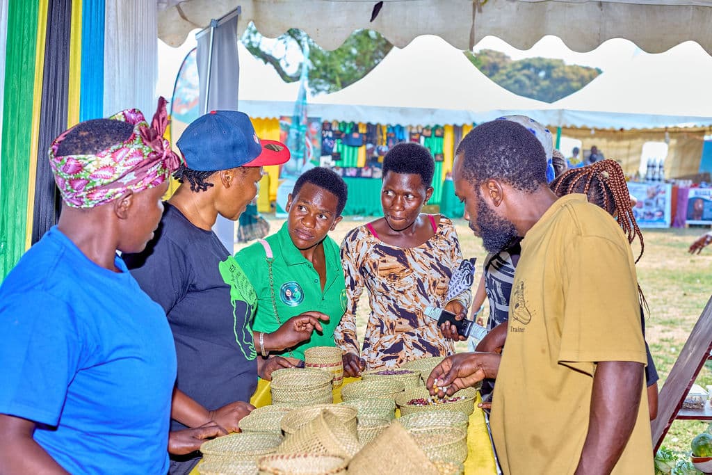 MIICO Showcases Indigenous Seeds at Kariakoo International Trade Fair 8