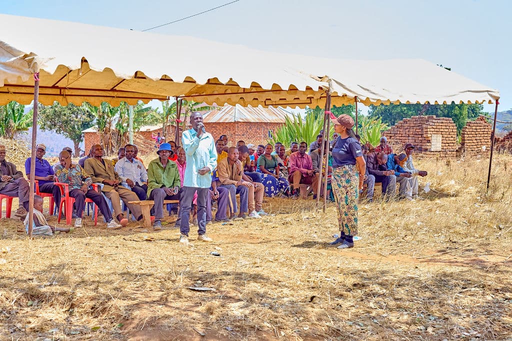 Mbozi Youth Transform Sunflower Farming Into Thriving Agri-Enterprises 11