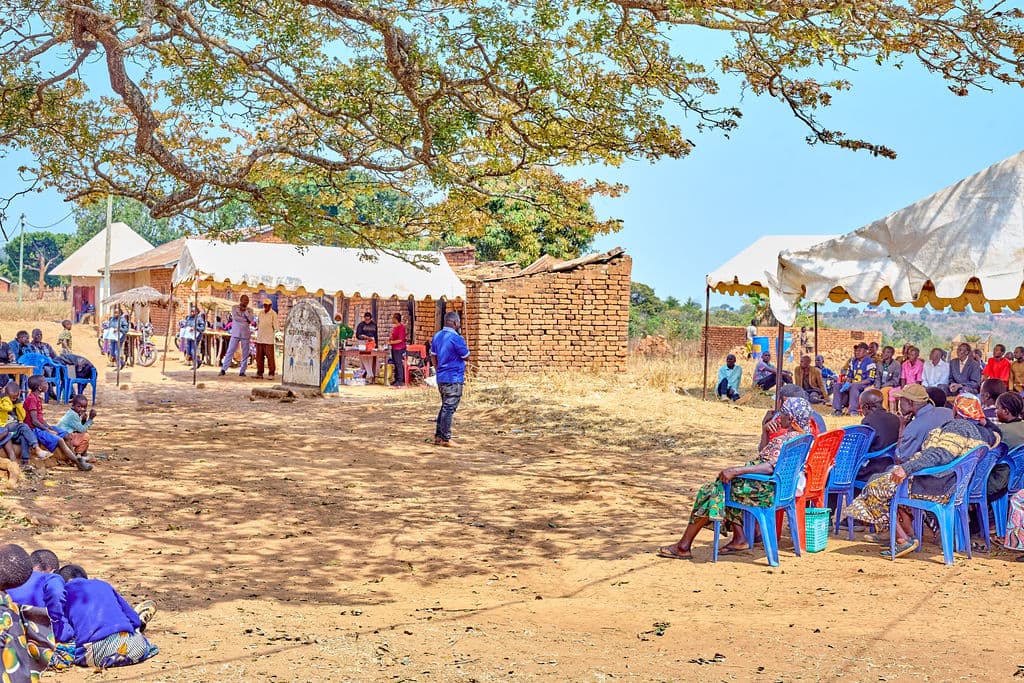 Mbozi Youth Transform Sunflower Farming Into Thriving Agri-Enterprises 5