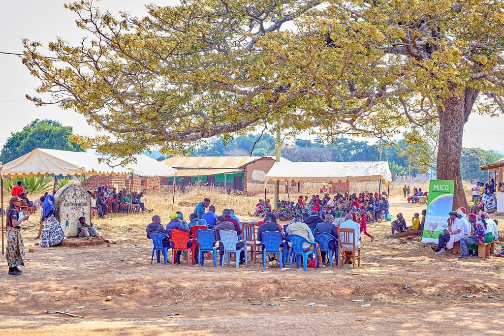Mbozi Youth Transform Sunflower Farming Into Thriving Agri-Enterprises 7
