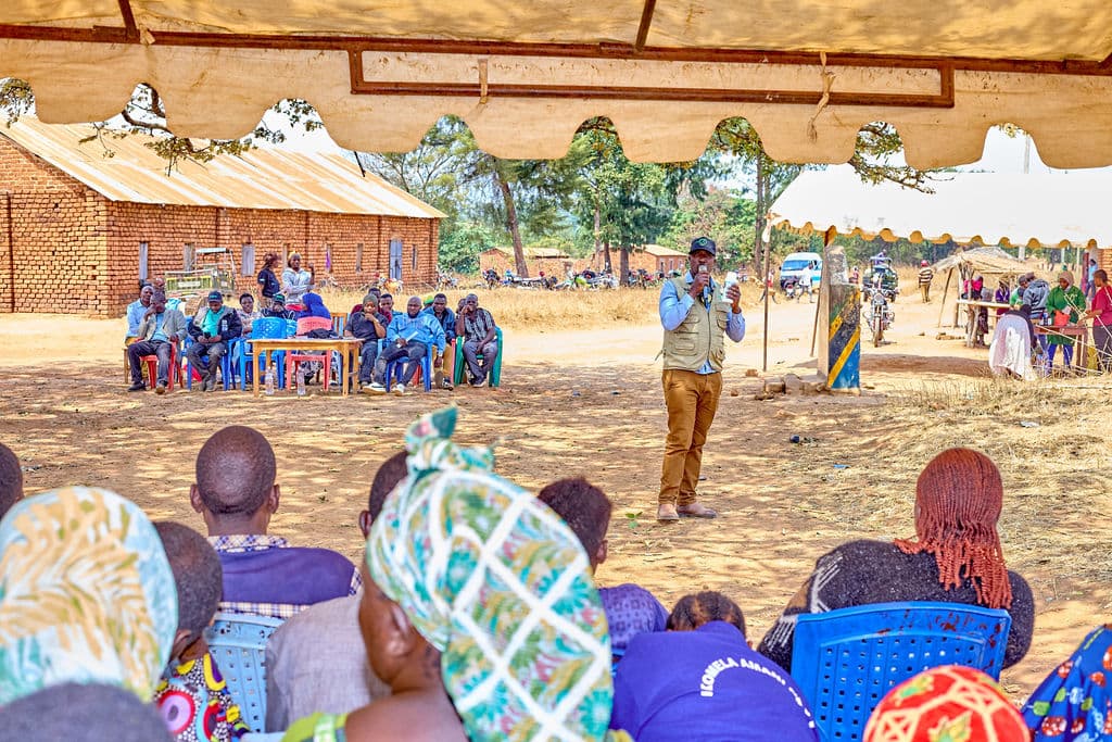 Mbozi Youth Transform Sunflower Farming Into Thriving Agri-Enterprises 8