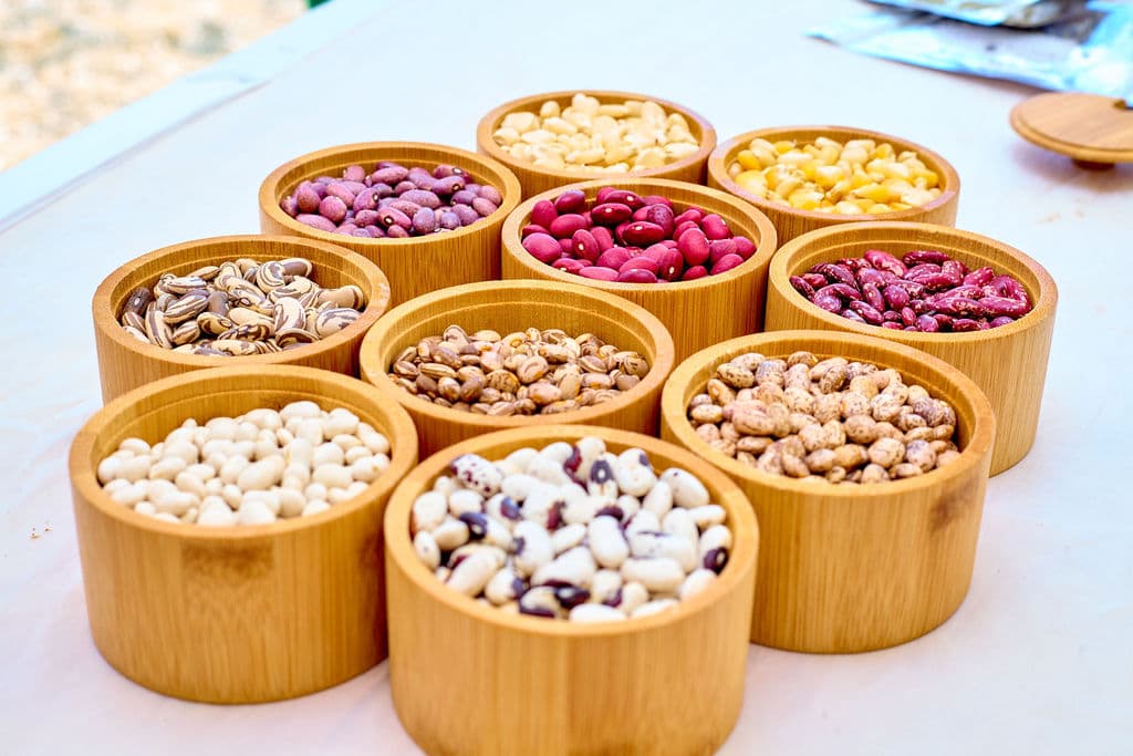 Guardians of the Seed: Rural Women Preserve a Living Agricultural Heritage 3